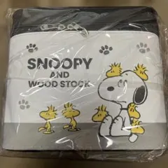 【新品未使用・袋入り】スヌーピー鏡付き大容量コスメボックス バニティポーチ