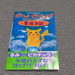 2025年最新】ポケモン ピカチュウ 攻略本の人気アイテム - メルカリ