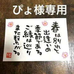 ぴょ様 リクエスト 2点 まとめ商品