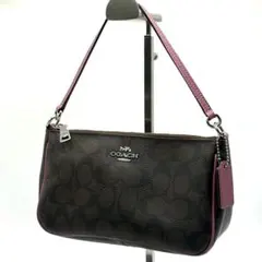 【外観美品】COACH コーチ　F58321 シグネチャー　ショルダーバッグ