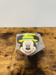ディズニー　バケーションパッケージ　チケットホルダー