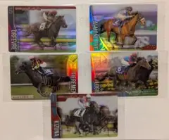 サラブレッドホースコレクション
