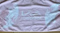 Item thumbnail for item 79d74d34-6e58-4353-92b9-f11f0ab9bce6