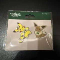 ポケパークカントー ピカチュウ イーブイ カーニバル衣装 キーホルダー