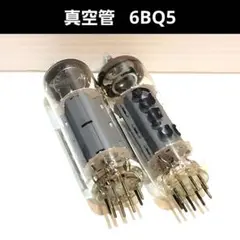 2025年最新】6BQ5 真空管の人気アイテム - メルカリ