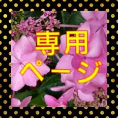 ♡kaki♡様、専用。　　♡新品♡花柄　大判　ストール　赤　ボヘミアン
