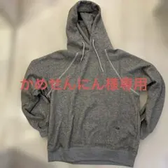 THE NORTH FACE PURPLE LABELパーカー グレー