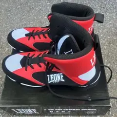 Item thumbnail for item d381b75f-491c-4a9c-96e9-12a1ed2ad60d