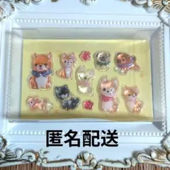 新アミュキャラぷっくりんちょシール　《犬》