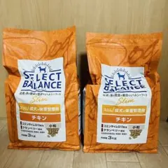 Item thumbnail for item f5789bad-70ff-44d5-9429-a326765403e9