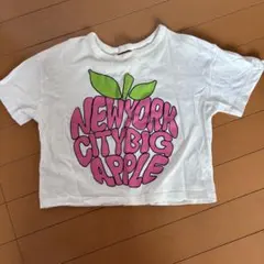 ZARA キッズ Tシャツ 116cmのサムネイル
