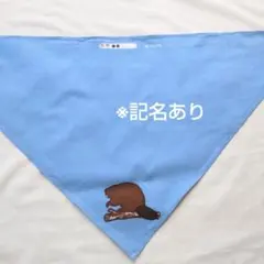 [배송비 포함] 비버 스카우트 네커치프