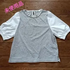 グラシア ボーダー半袖カットソー