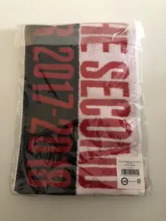 EXILE SECOND タオル