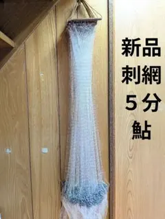 55636377_1