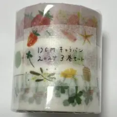 マスキングテープ　mt DCM田村美紀 DCMキャラバン　2024　春