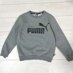 PUMA トレーナー スウェット キッズ 140cm グレー