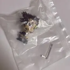 ジョジョの奇妙な冒険 カプセルヒーローズ　カーズ