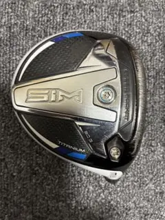 2025年最新】sim2 ヘッドのみの人気アイテム - メルカリ