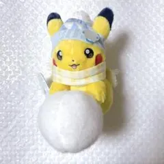 ポケモンセンターオリジナル ぬいぐるみ ピカチュウとゆきあそび タグ