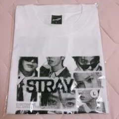 StrayKids フォトTシャツ ホワイト Mサイズ - メルカリ