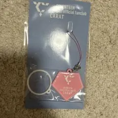 2025年最新】seventeen ファンクラブ 特典の人気アイテム - メルカリ