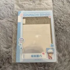 銀魂 銀八先生 with CAT 硬質カードケース 坂田銀時 坂田銀八