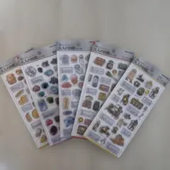 大人の図鑑シール　3D まとめ