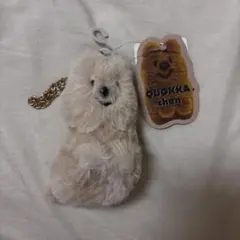クオッカちゃん　ぬいぐるみ　キーホルダー