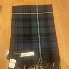 Item thumbnail for item 89d86169-3f96-4526-91c9-141a0f740acd