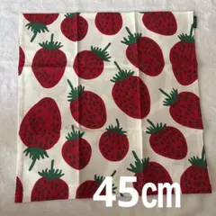 Item thumbnail for item 3fe7af12-06db-416a-96e0-caaeb84e80b9