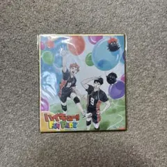 ハイキュー ファンパーク 色紙
