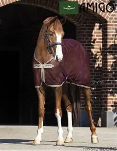 Item thumbnail for item 64dc7665-db1f-478b-bd6b-0e2f10a12113