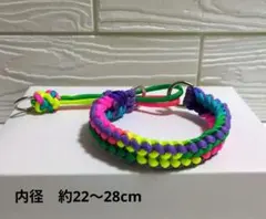 Item thumbnail for item ed6c5223-7ca3-4d41-a088-14d666000b6e