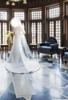 pronovias ウェディングベールのサムネイル