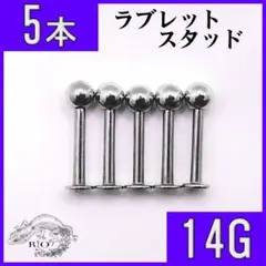 Item thumbnail for item 18ad85a4-de28-497d-9c57-865e4f7d0f94