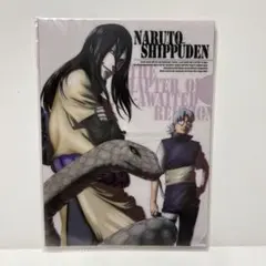 NARUTO-ナルト- 疾風伝 遥かなる再会の章 4 特典