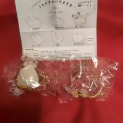 うちの子のけだまだま　柴犬＆丸たれみみ