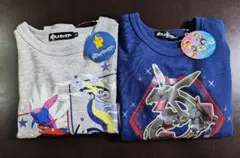 ポケモン トレーナー130 　2枚セット