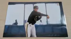 オリックス・バファローズ フォト　非売品
