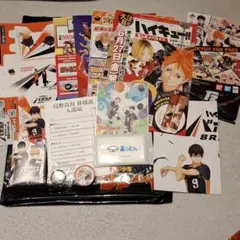 ハイキュー ファンパーク fan park 入場特典