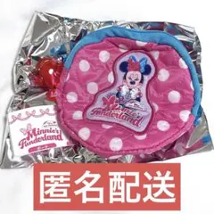 ディズニー パルパルーザ ミニーのファンダーランド カプセルトイ ポーチ