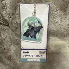 崩壊スターレイル ローソン アナイクス アクリルバッジ アクリル