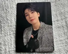SEVENTEEN ウォヌ ダブル会員特典トレカ