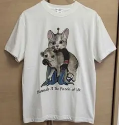 羽海野チカ×ヒグチユウコ コラボTシャツ グレー Mサイズ - メルカリ
