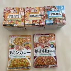 WAKODO 離乳食 セット　⭐️賞味期限短め⭐️