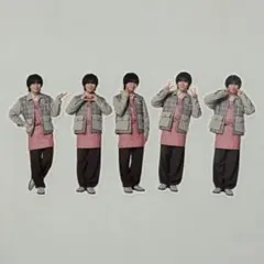 なにわ男子 大西流星 フレークシール5枚セット