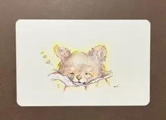 原画　色鉛筆画　すやすや子犬　ハガキサイズ（額入れ無料）