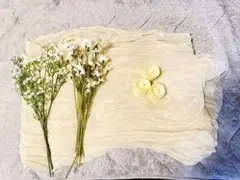 ウェルカムスペースグッズ