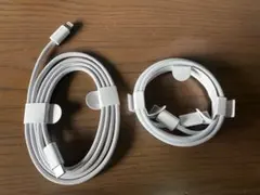 Apple 編み込み式ケーブル 2種類【純正品】